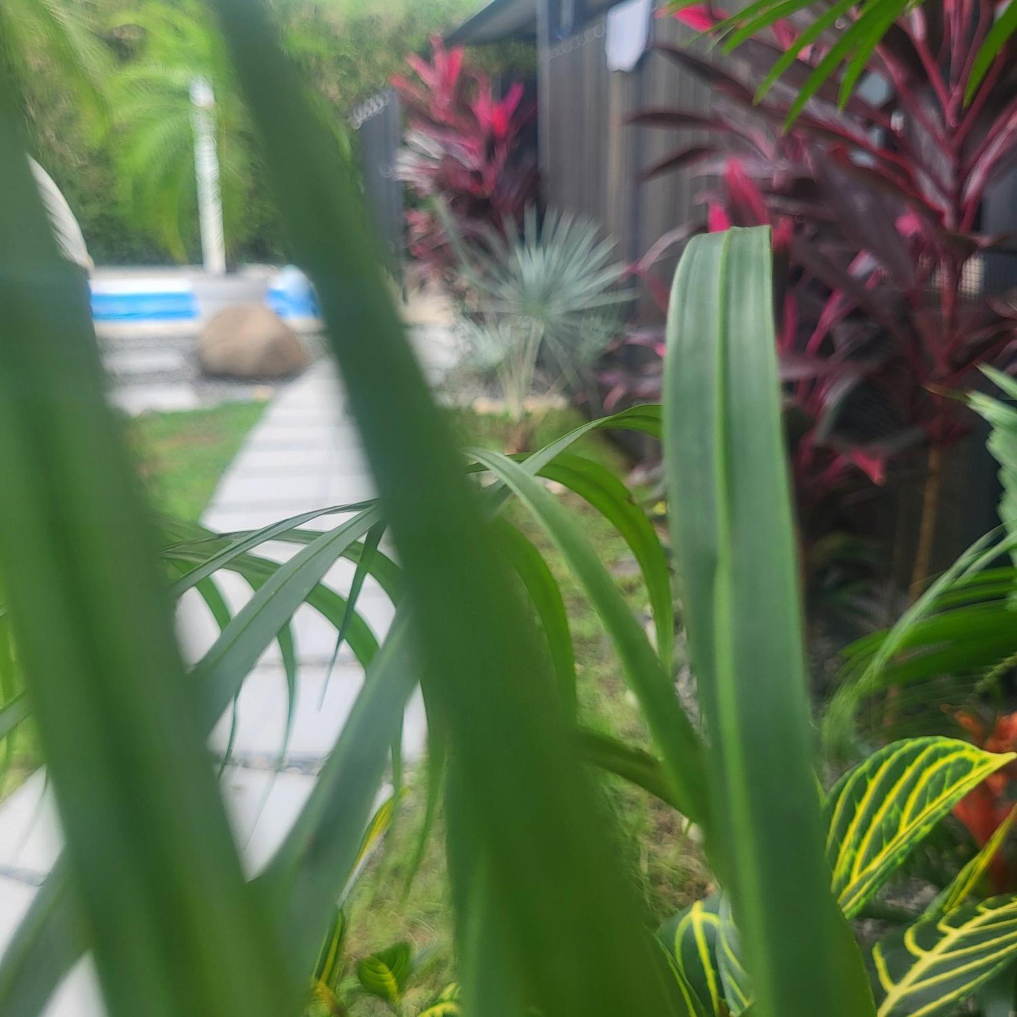 乌维塔Madre Terra住宿加早餐旅馆 外观 照片