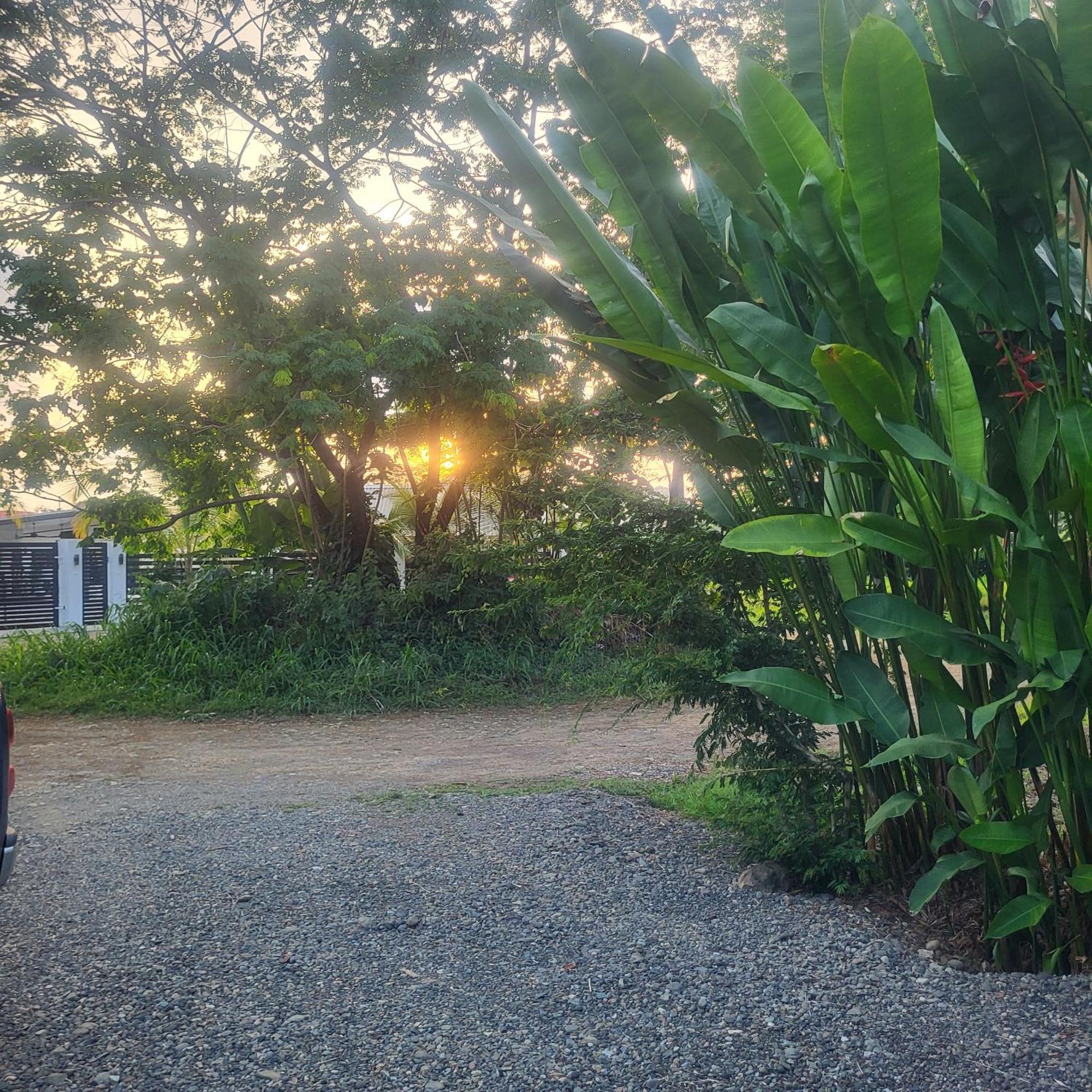 乌维塔Madre Terra住宿加早餐旅馆 外观 照片